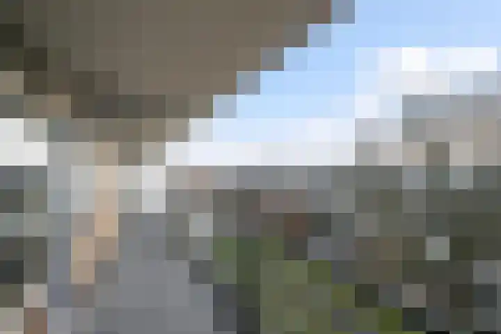 Buizerdstraat 208 Maassluis thumbnail 8