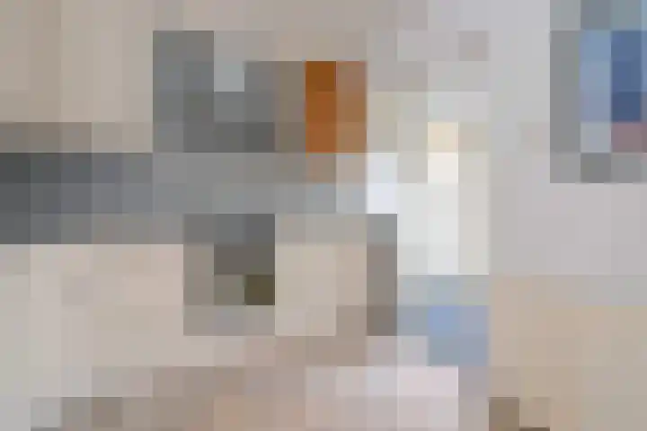Buizerdstraat 21 Brummen thumbnail 11