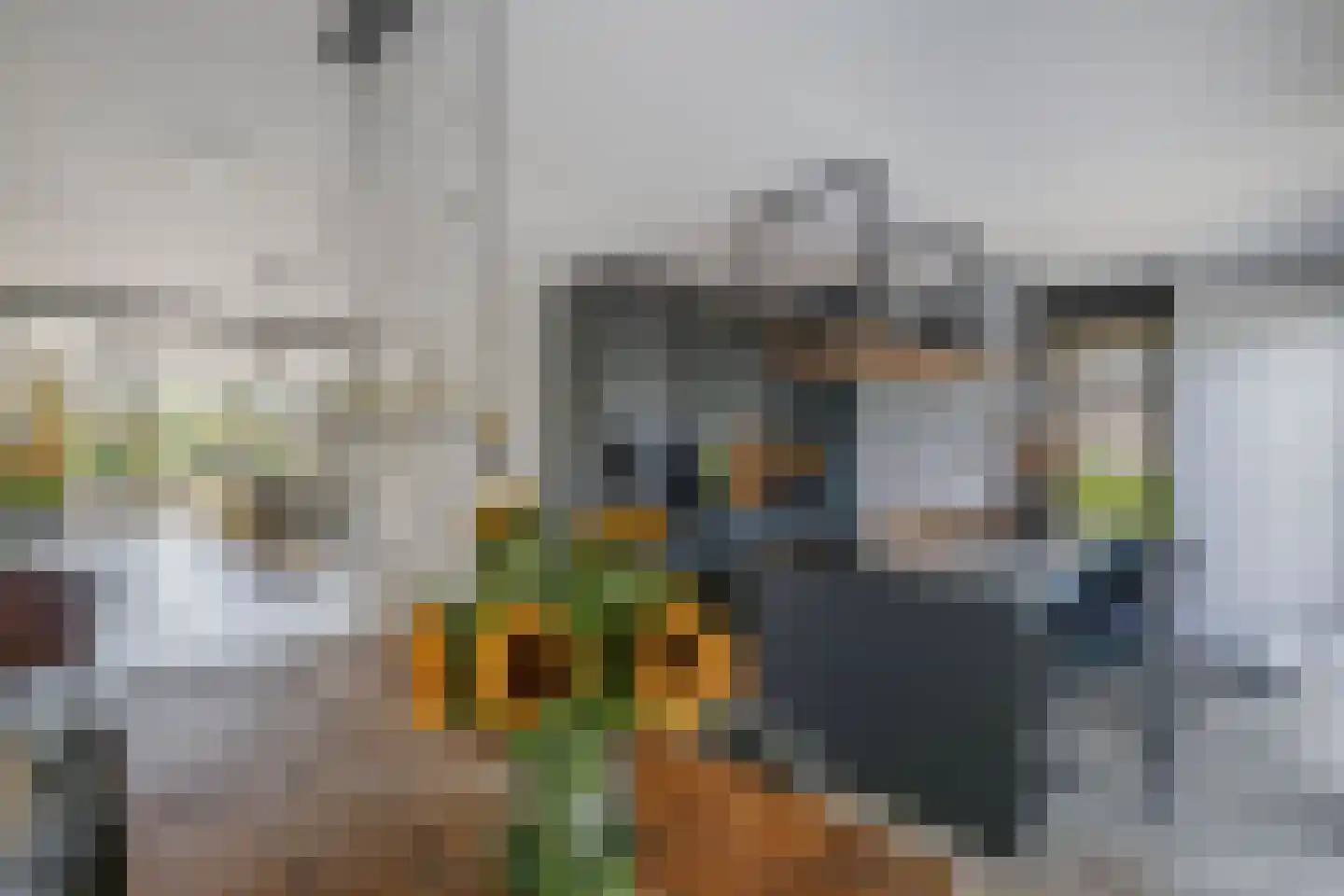 Buizerdstraat 21 Brummen thumbnail 19
