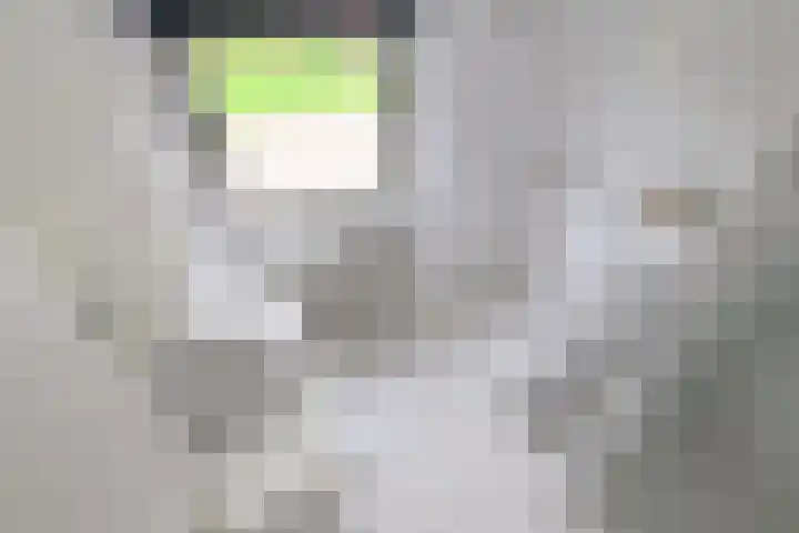 Buizerdstraat 21 Brummen thumbnail 20