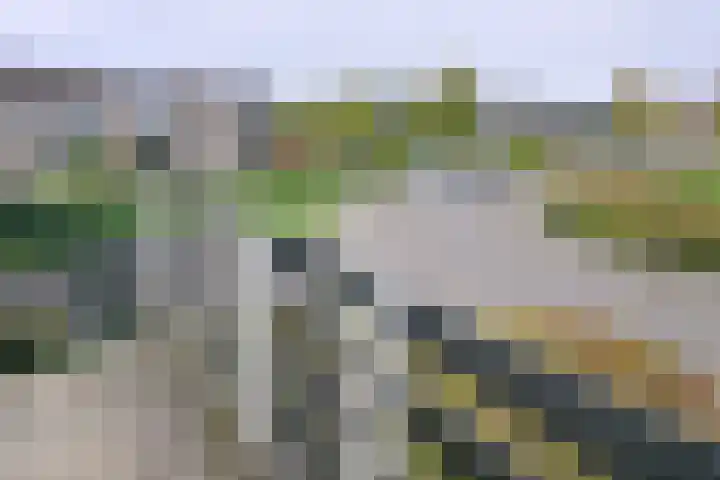 Buizerdstraat 21 Brummen thumbnail 26