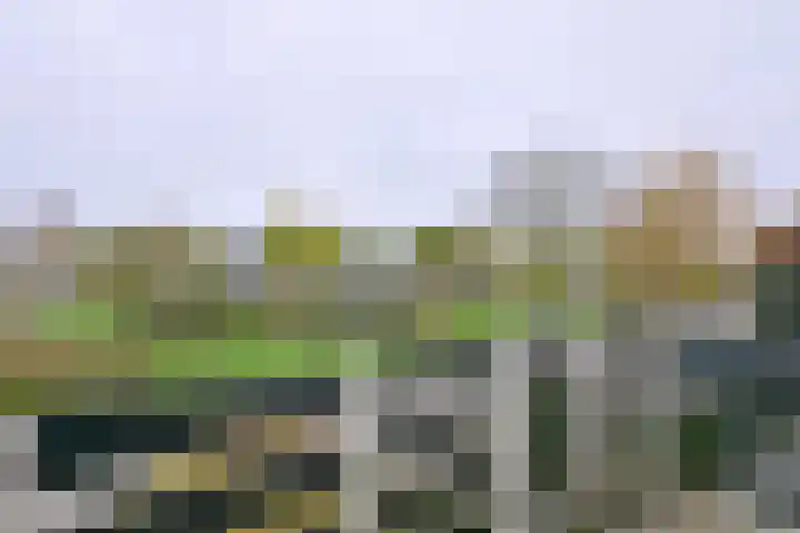 Buizerdstraat 21 Brummen thumbnail 27