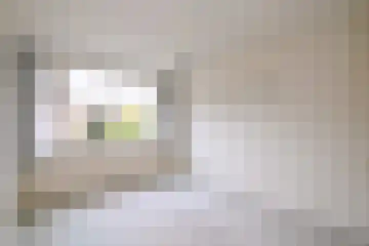 Buizerdstraat 21 Brummen thumbnail 29
