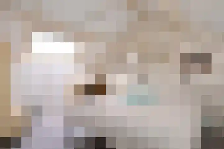 Buizerdstraat 21 Brummen thumbnail 36