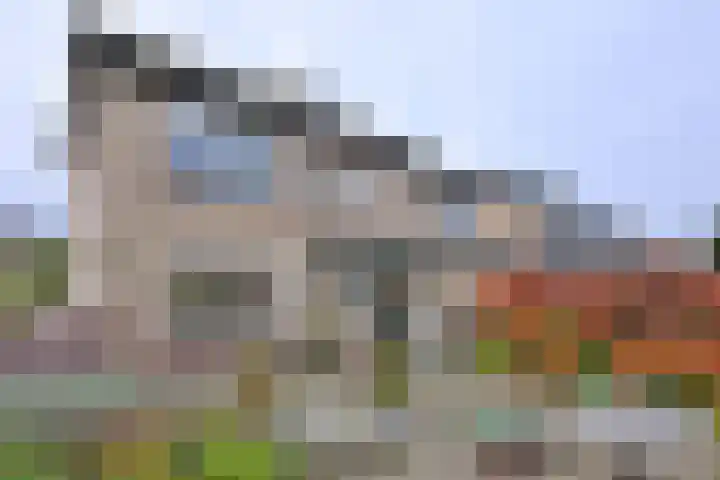 Buizerdstraat 21 Brummen thumbnail 37