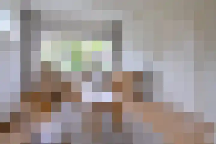 Buizerdstraat 21 Brummen thumbnail 4