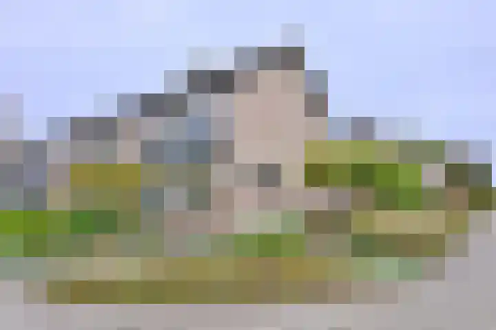 Buizerdstraat 21 Brummen thumbnail 42