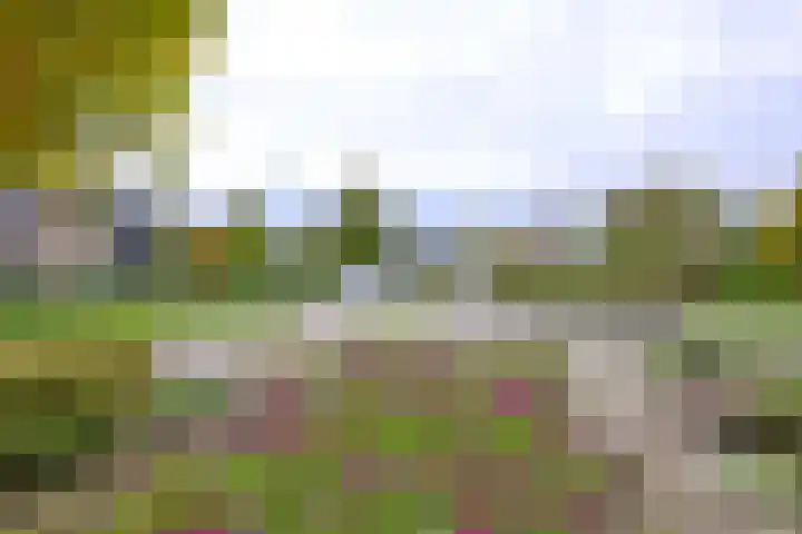 Buizerdstraat 21 Brummen thumbnail 44