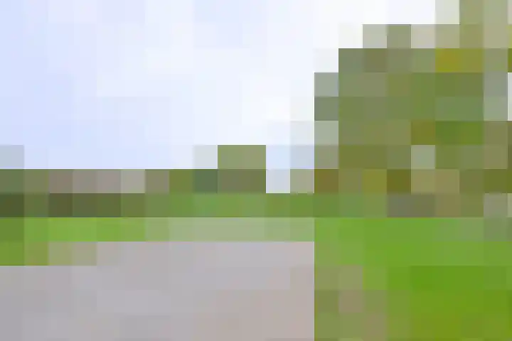 Buizerdstraat 21 Brummen thumbnail 46