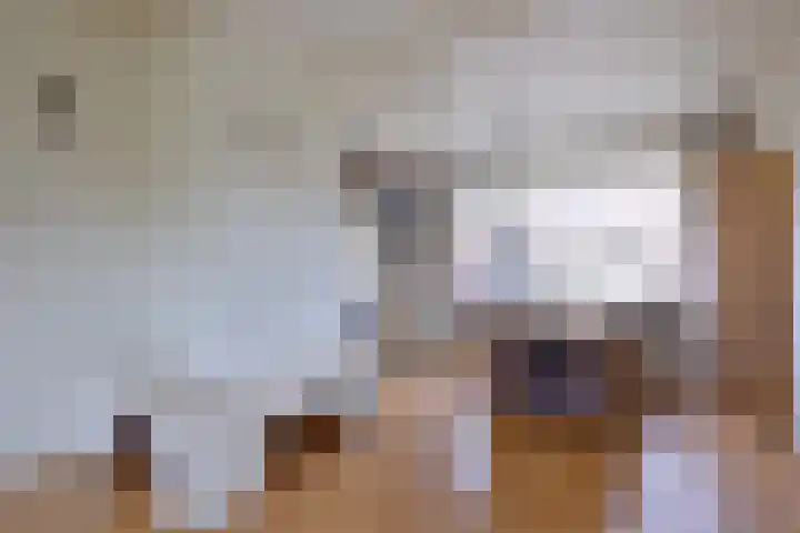 Buizerdstraat 21 Brummen thumbnail 5