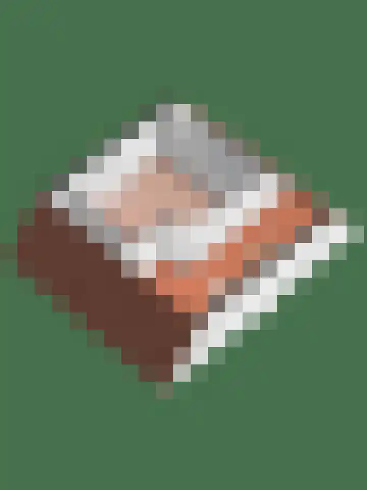 Buizerdstraat 21 Brummen thumbnail 52