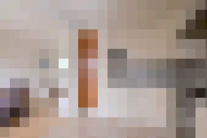 Buizerdstraat 21 Brummen thumbnail 9