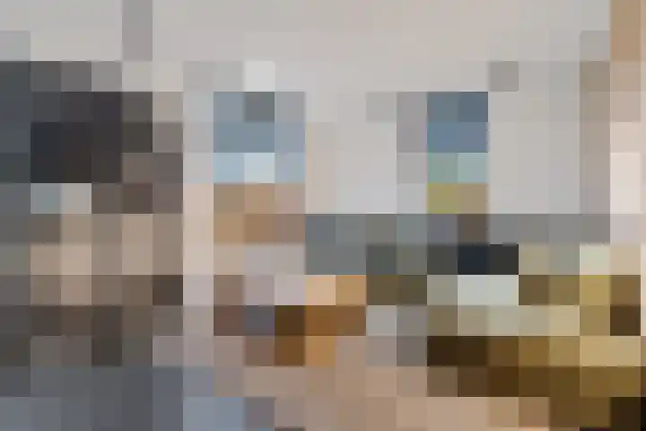 Buizerdstraat 26 Creil thumbnail 11