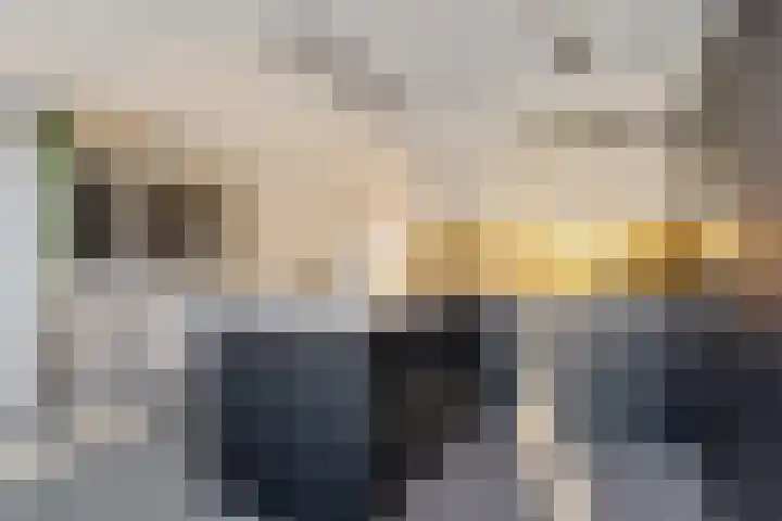Buizerdstraat 26 Creil thumbnail 17