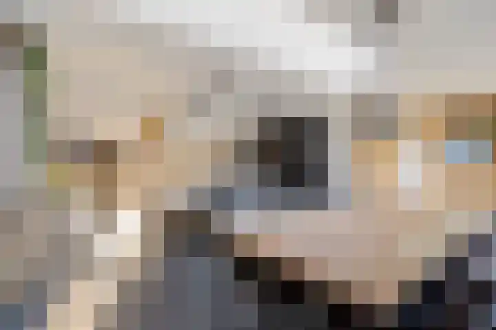 Buizerdstraat 26 Creil thumbnail 18