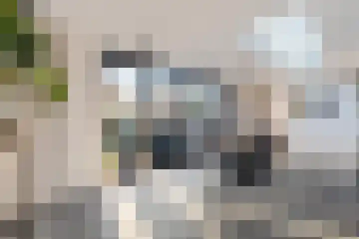 Buizerdstraat 26 Creil thumbnail 22