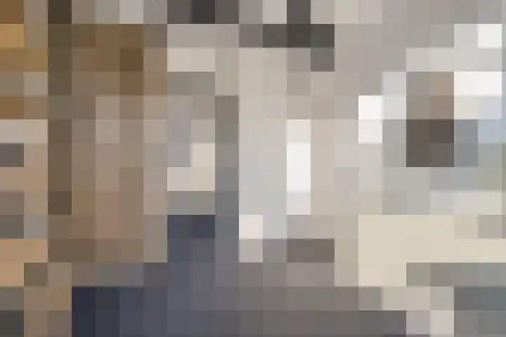 Buizerdstraat 26 Creil thumbnail 26