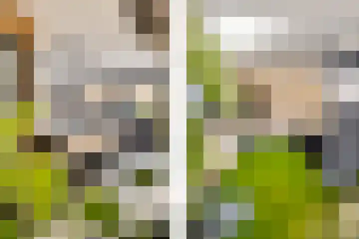 Buizerdstraat 26 Creil thumbnail 28