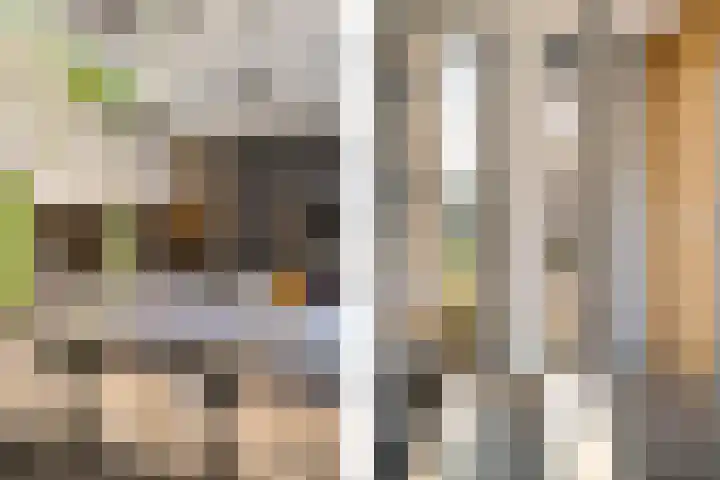 Buizerdstraat 26 Creil thumbnail 29