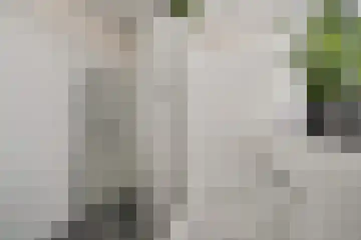 Buizerdstraat 26 Creil thumbnail 37