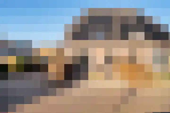 Buizerdstraat 26 Creil thumbnail 8