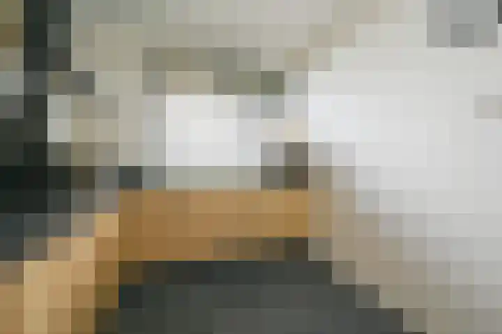 Buizerdstraat 262 Maassluis thumbnail 13