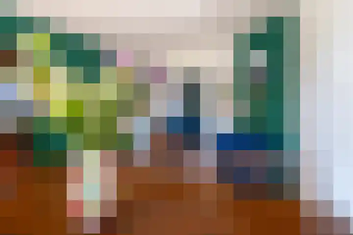 Buizerdstraat 28 Assen thumbnail 17