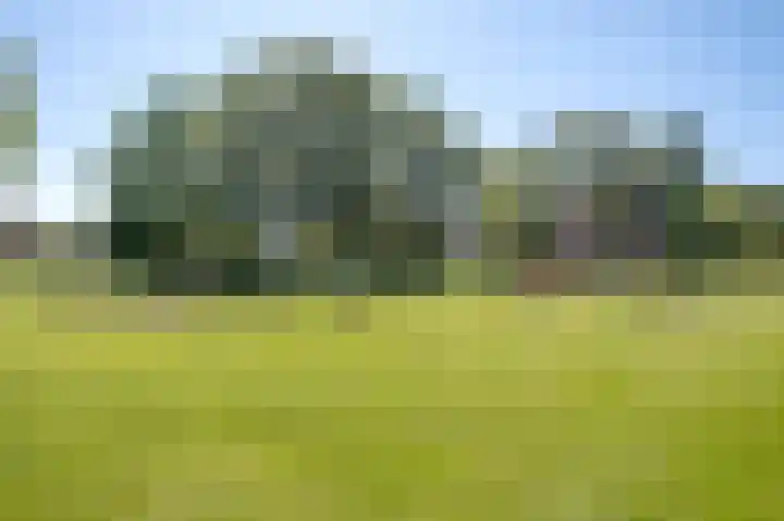 Buizerdstraat 28 Assen thumbnail 41