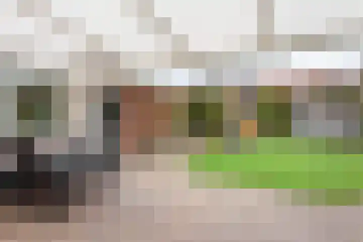 Buizerdstraat 30 Oldenzaal thumbnail 18
