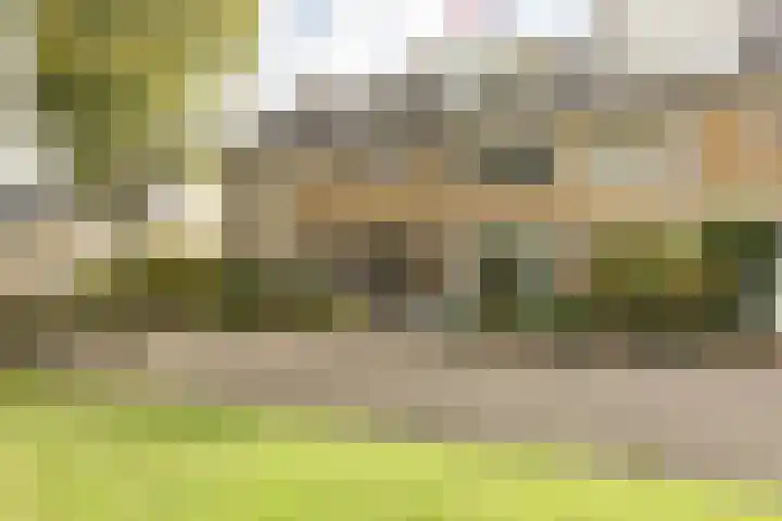 Buizerdstraat 36 in Bleiswijk