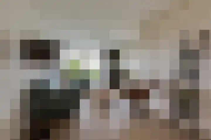 Buizerdstraat 36 Bleiswijk thumbnail 12