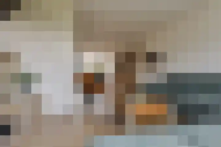 Buizerdstraat 36 Bleiswijk thumbnail 13