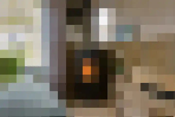 Buizerdstraat 36 Bleiswijk thumbnail 14