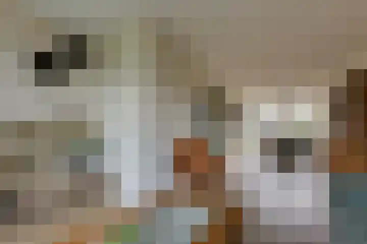 Buizerdstraat 36 Bleiswijk thumbnail 15