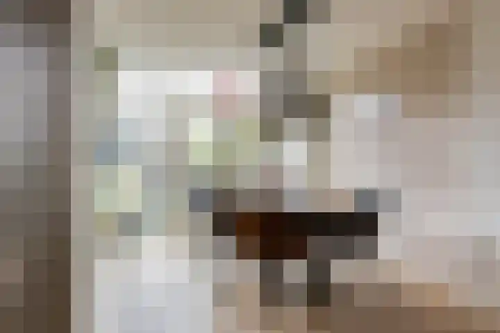 Buizerdstraat 36 Bleiswijk thumbnail 16