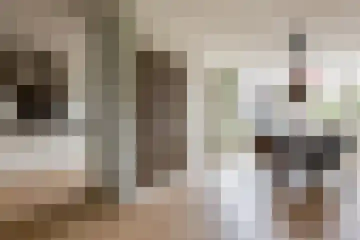Buizerdstraat 36 Bleiswijk thumbnail 17