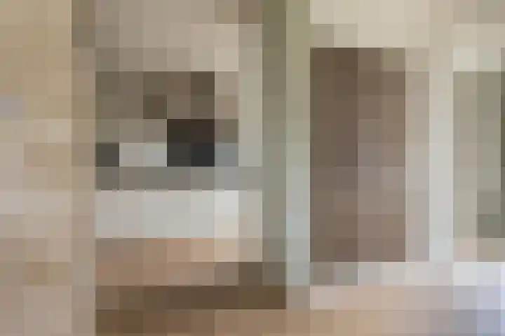 Buizerdstraat 36 Bleiswijk thumbnail 18