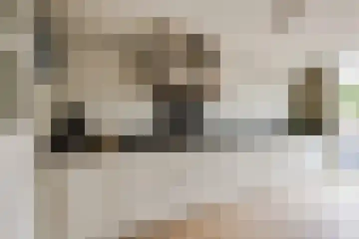Buizerdstraat 36 Bleiswijk thumbnail 20