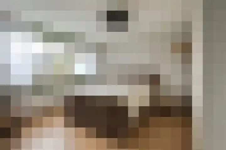 Buizerdstraat 36 Bleiswijk thumbnail 22