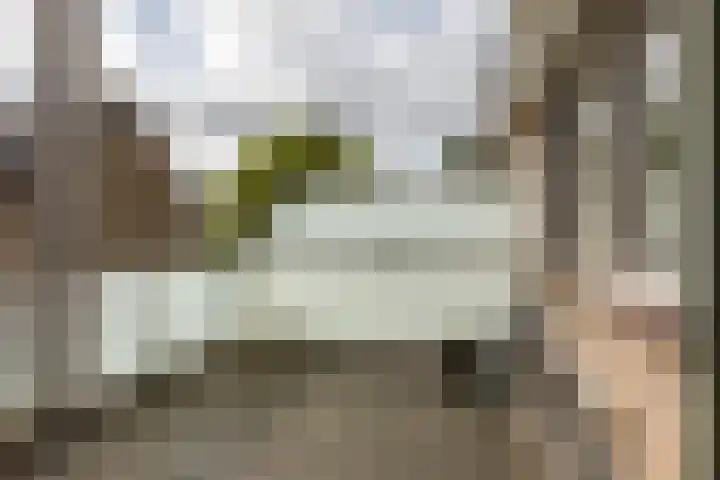 Buizerdstraat 36 Bleiswijk thumbnail 30