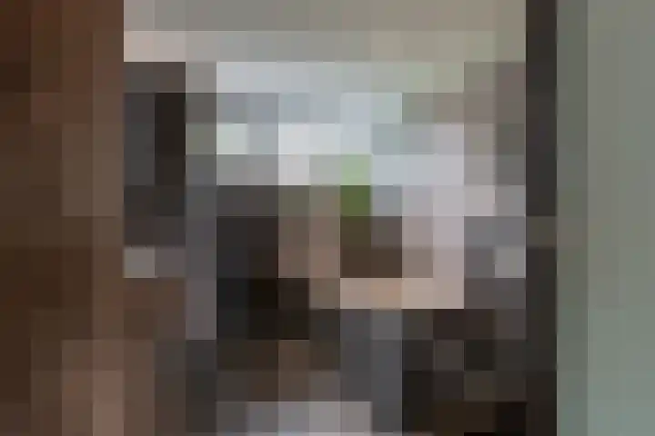 Buizerdstraat 36 Bleiswijk thumbnail 31