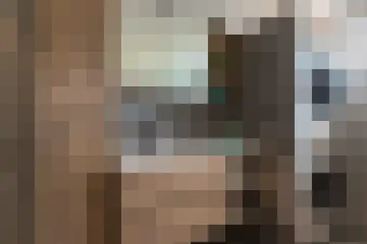 Buizerdstraat 36 Bleiswijk thumbnail 32