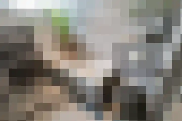 Buizerdstraat 36 Bleiswijk thumbnail 33