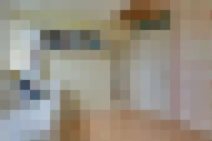 Buizerdstraat 36 Bleiswijk thumbnail 38