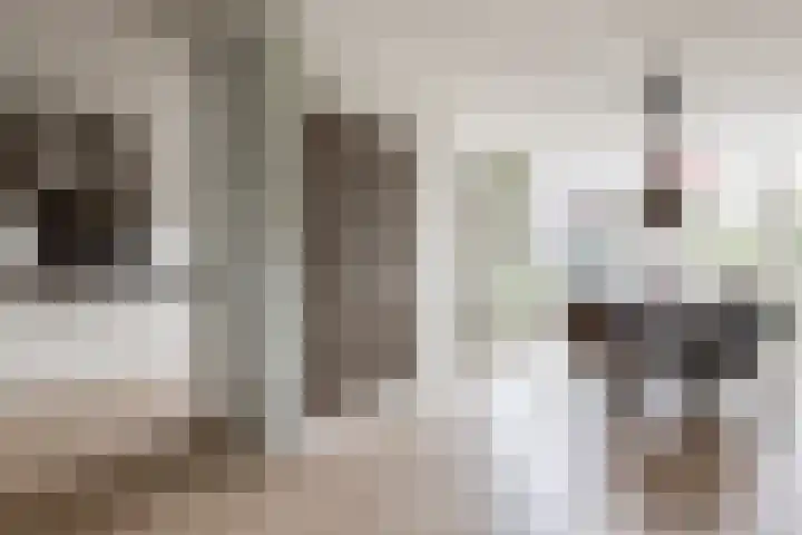 Buizerdstraat 36 Bleiswijk thumbnail 4