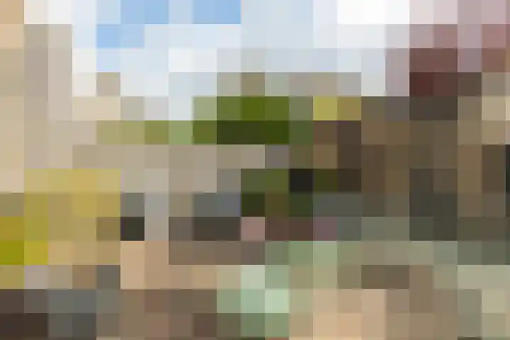 Buizerdstraat 36 Bleiswijk thumbnail 41