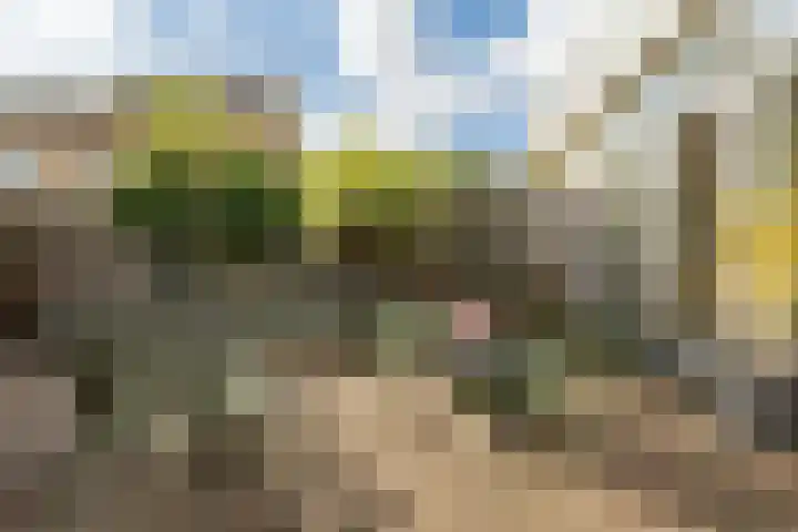 Buizerdstraat 36 Bleiswijk thumbnail 42