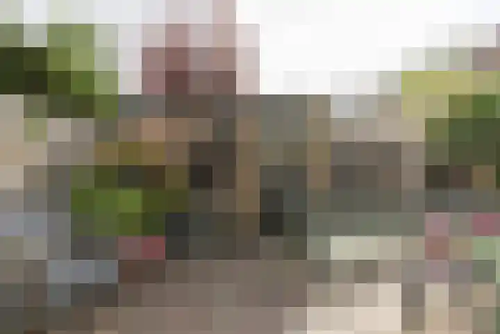 Buizerdstraat 36 Bleiswijk thumbnail 43