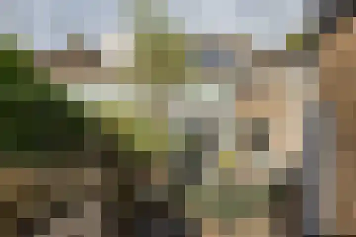 Buizerdstraat 36 Bleiswijk thumbnail 45