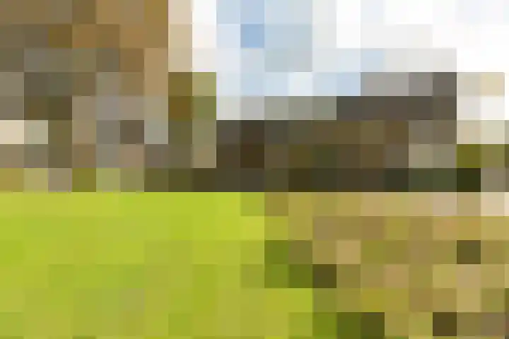 Buizerdstraat 36 Bleiswijk thumbnail 5